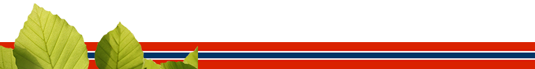 17. mai
